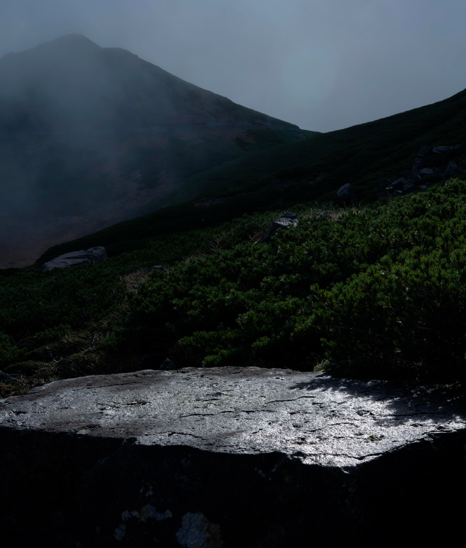 2026 SPRING & SUMMER CATALOG