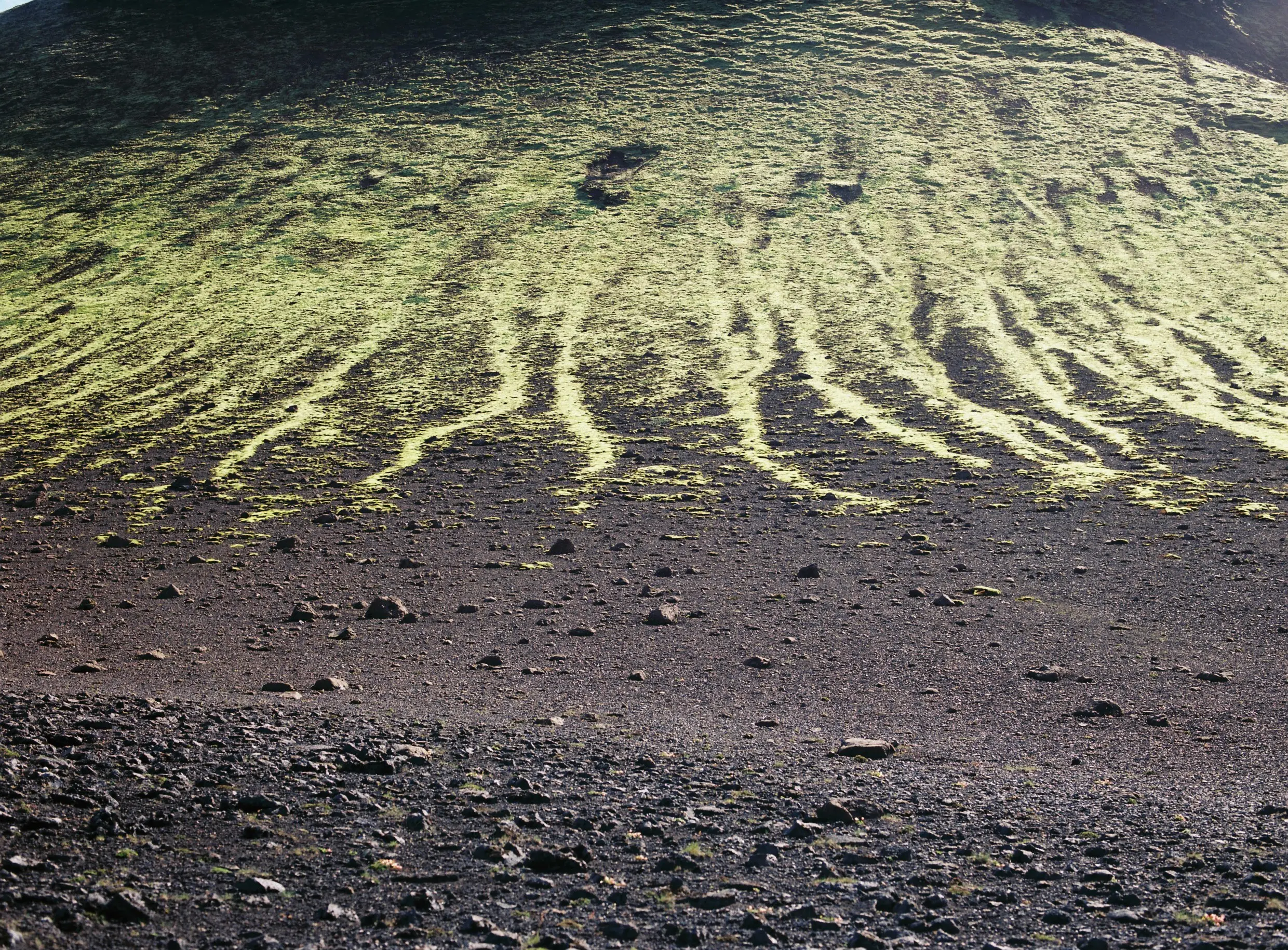 大地の画像