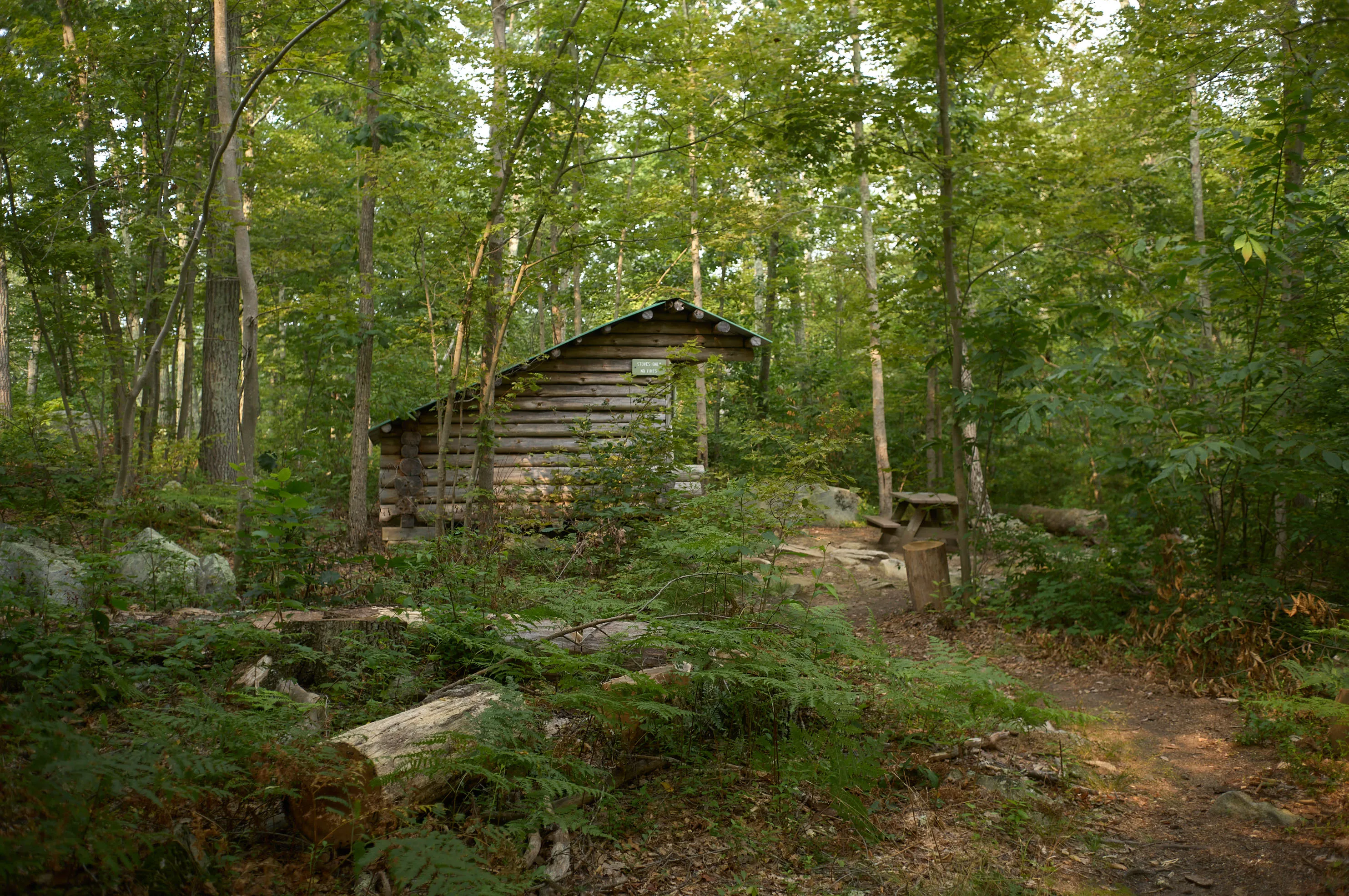 and wander SPRING SUMMER 2025 COLLECTION | and wander ONLINE STORE