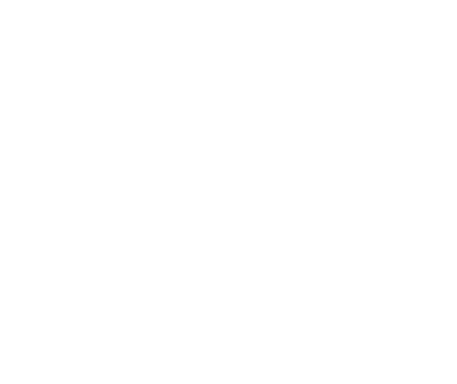 Brompton x and wander