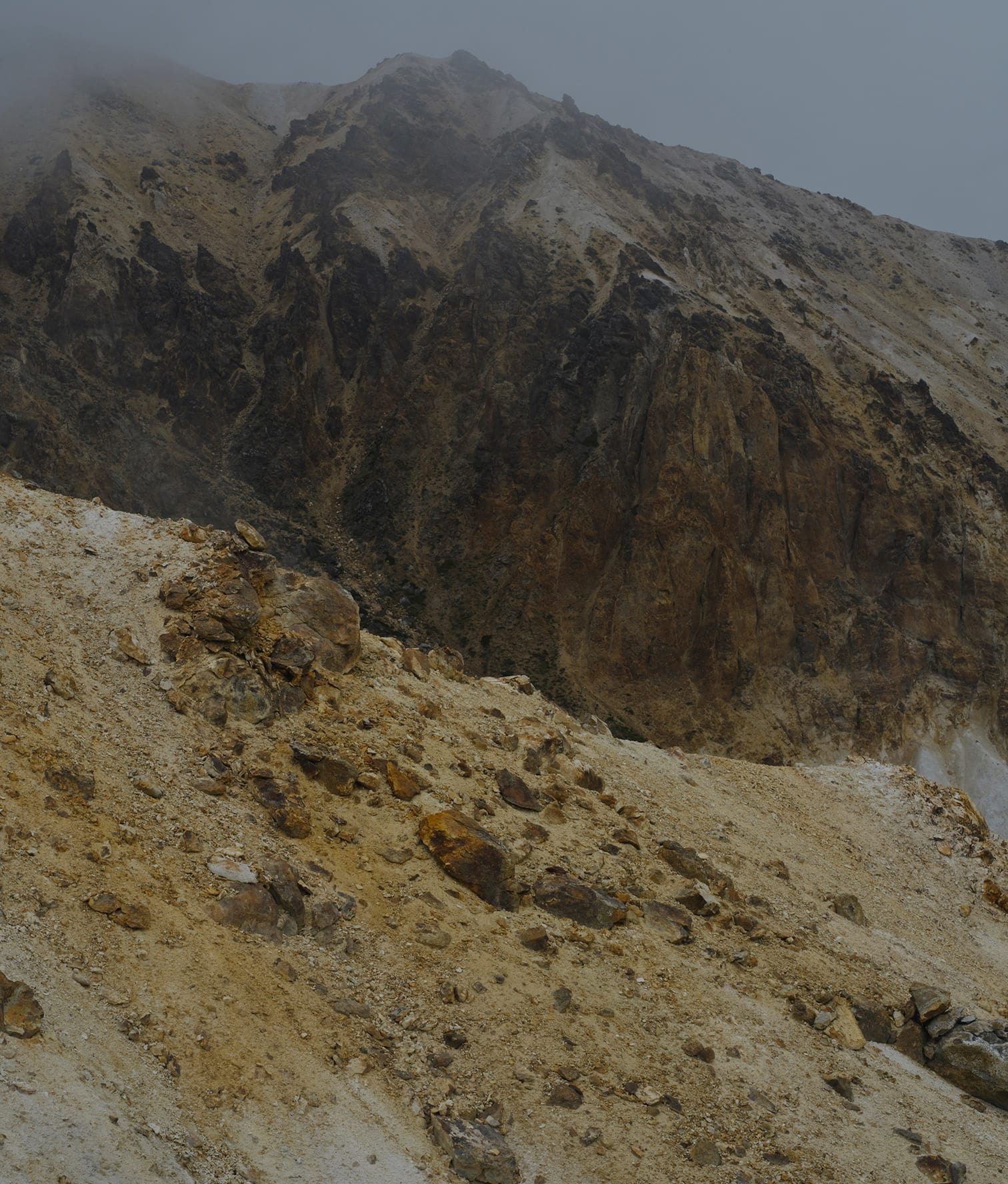 2025 AUTUMN & WINTER CATALOG