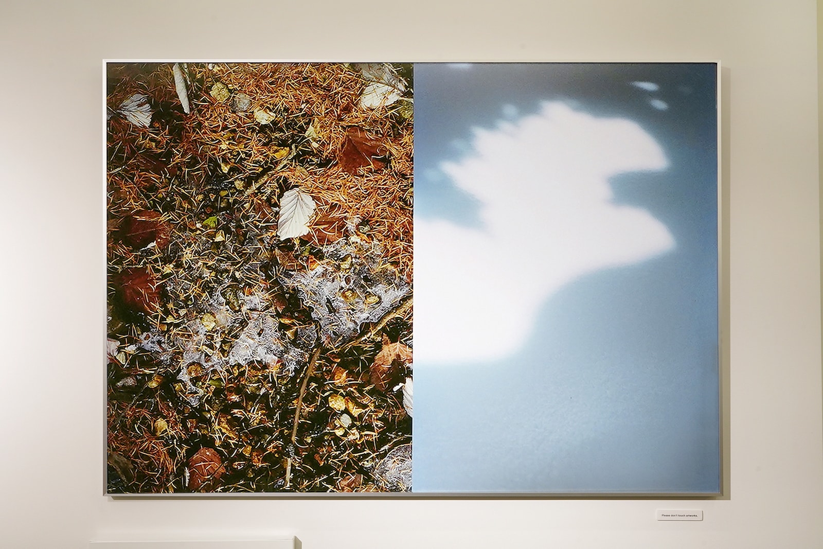 EXHIBITION 15 Kasane Nogawa “Perspective” | and wander EXHIBITION 15 Kasane Nogawa “Perspective” | and wander